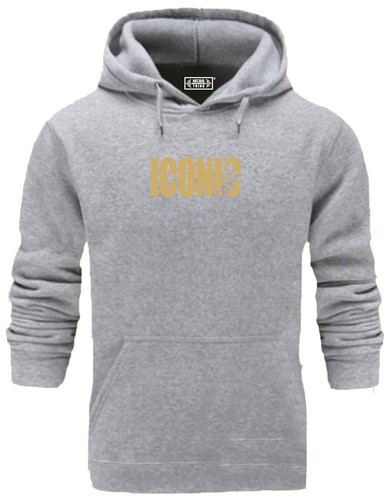 Iconic hoodie gym - hoodie,