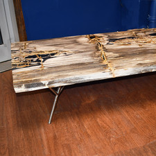 Super Sale! Petrified Wood