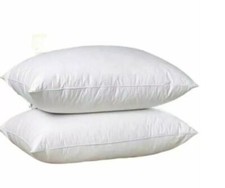 Pillows 2 Pack Soft