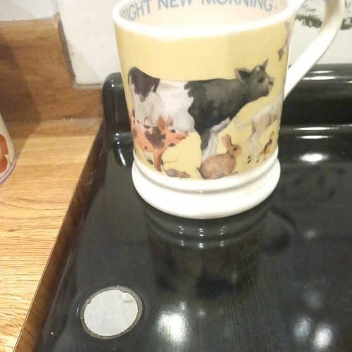 Emma bridgewater bright - emma,