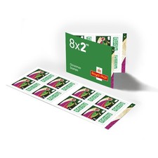 Christmas Stamps 2025 8 x 2nd Stamp Book from Royal Mail