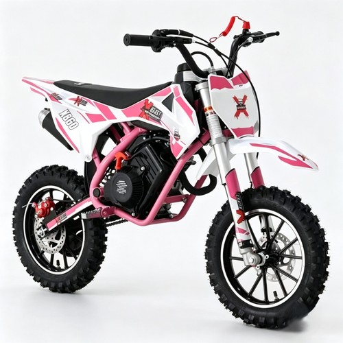 Beast motorsport 60cc mini - x,