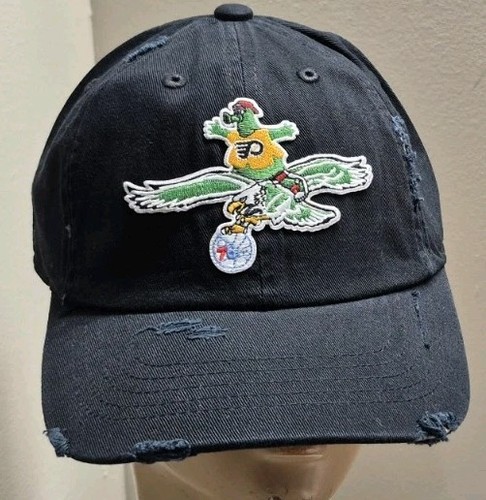 Philadelphia phanatic flying - philadelphia,