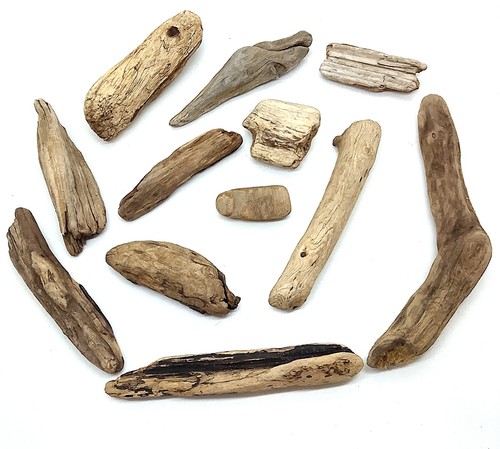 Beach driftwood natural - beach,