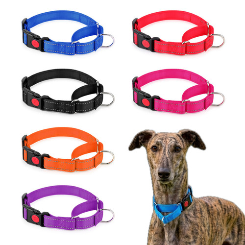 Martingale dog collar - martingale,