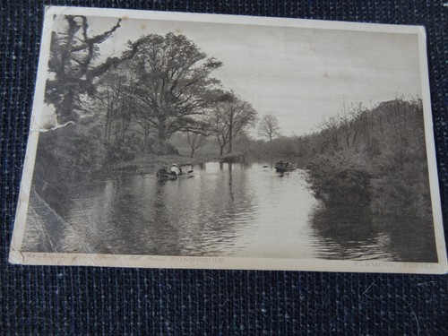 The medway from powder mill - from,