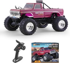 FMS 1/10 Ford F-100 RC Monster