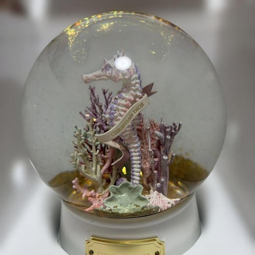 Christian dior seahorse snow - christian,