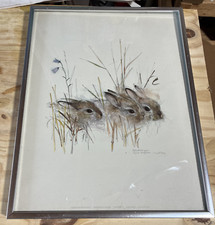 Vintage Print by Danish Watercolour Artist Mads Stage Rabbits in the grass 1976