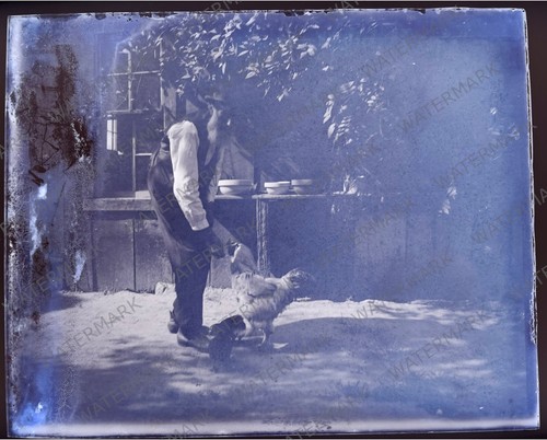 Original 1900 4x5 glass - 1900's, 4x5"