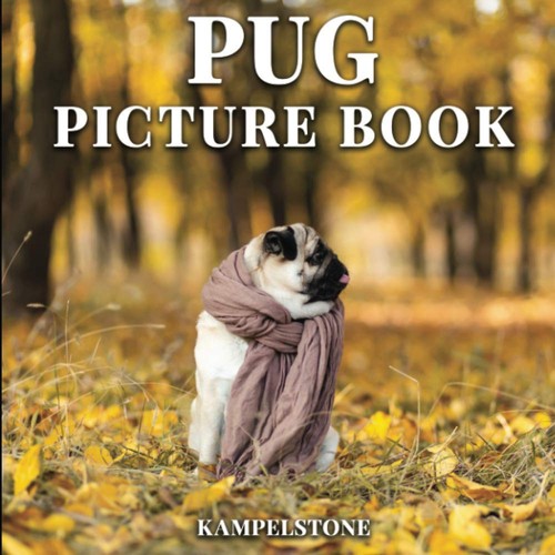 Pug picture book cute - picture, book: