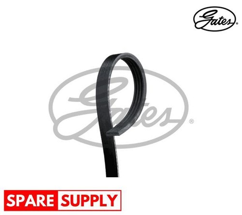 Ribbed belts for ford - belts,
