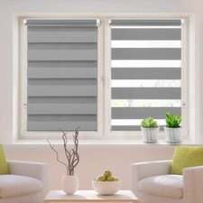 Day & Night Zebra Vision