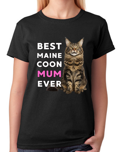 Best maine coon mum ever - maine,