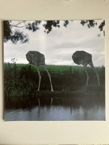 Elisabeth frink private view - elisabeth,