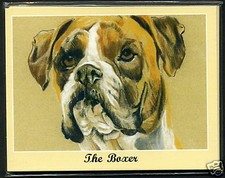 THE BOXER - Dog Breeds -