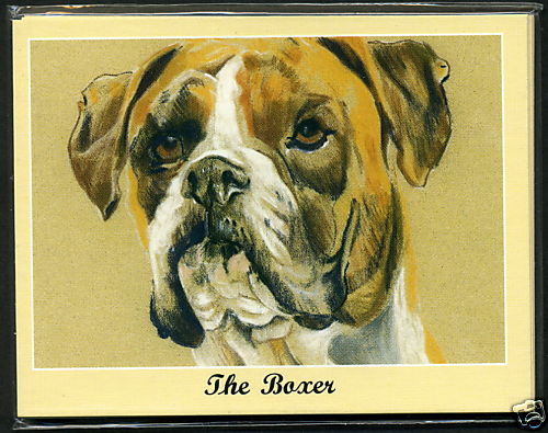 The boxer dog - the,
