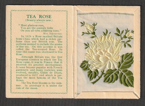 Wix kensitas tobacco silk - wix,