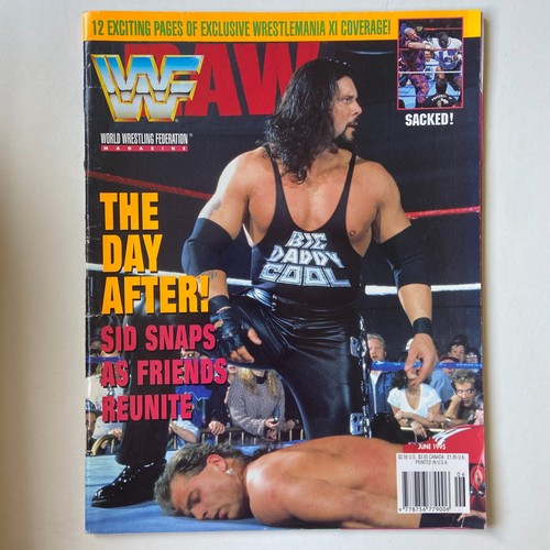 Wwf world wrestling magazine - world,