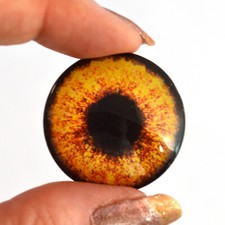 Glass Eyes: 30mm Hen Chicken