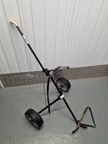 Kingslaw golf wheel - 2,