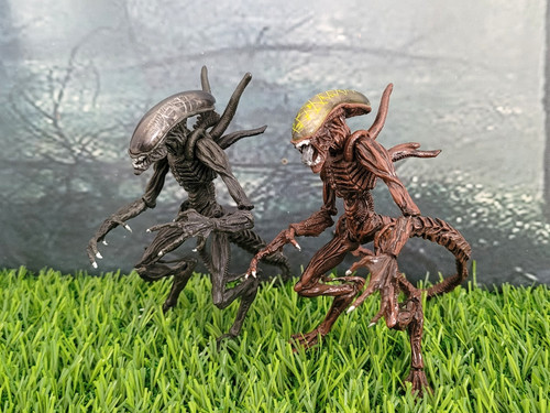 Hot toys alien predator - hot,