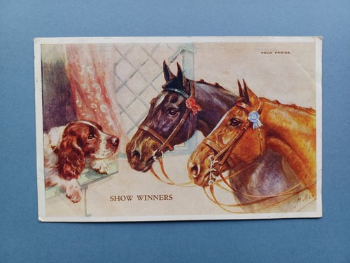 1955 polo ponies springer - polo,
