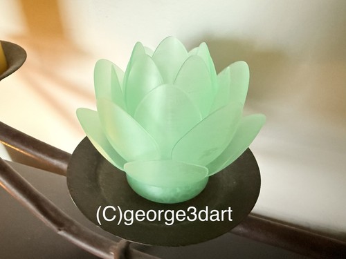 Lotus flower night tea - flower,