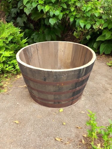 Giant watertight oak - giant, half