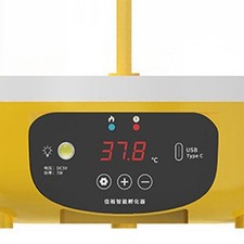 Eggs Incubator   Brooder