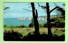 091204  Postcard  STUDLAND