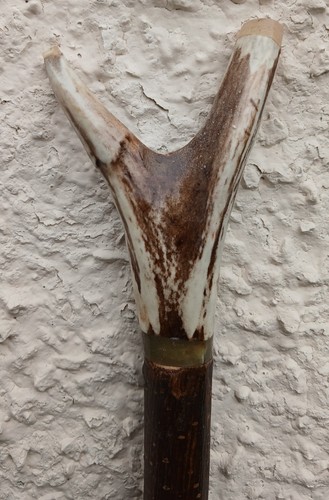 Stag antler thumb stick - stag,