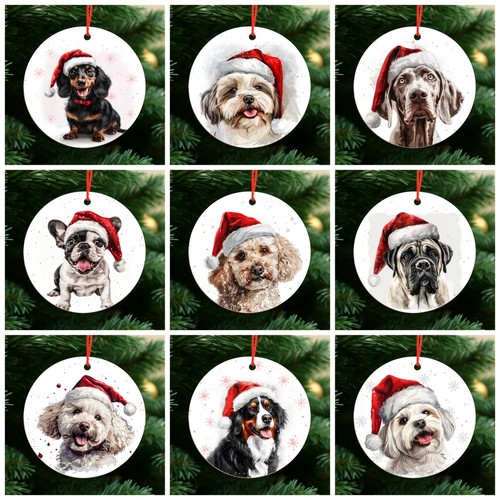 Dog christmas baubles secret - dog,