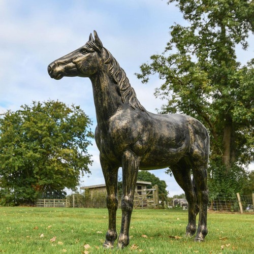 Black gold horse - black,