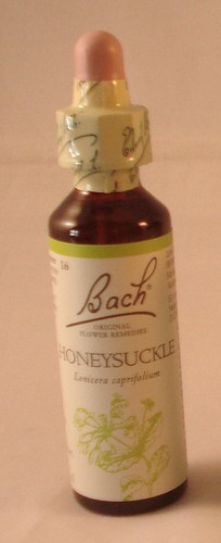 Bach flower remedies - flower,