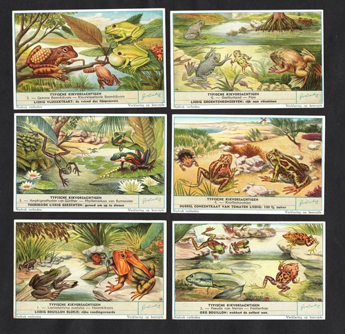Frogs toads liebig - toads,