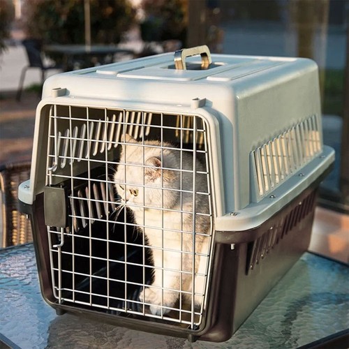 New large pet carrier - large, cat