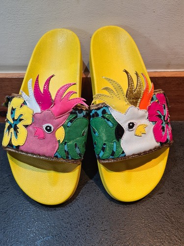 Irregular choice parrot - choice,