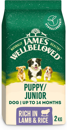 Dog puppy hypoallergenic - dog,