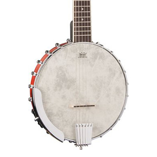 Washburn string banjo - banjo,