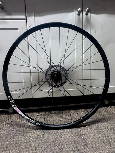 Alex rims 29er single speed - alex,