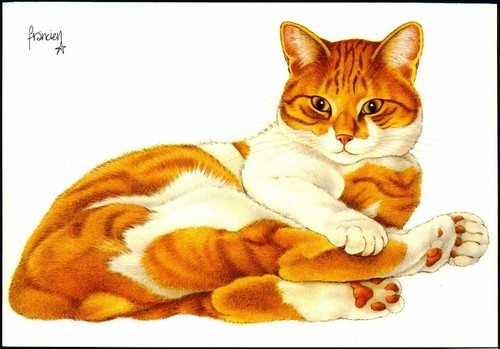 Modern cat art postcard - cat,