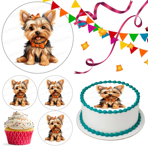 Yorkshire terrier dog - yorkshire,