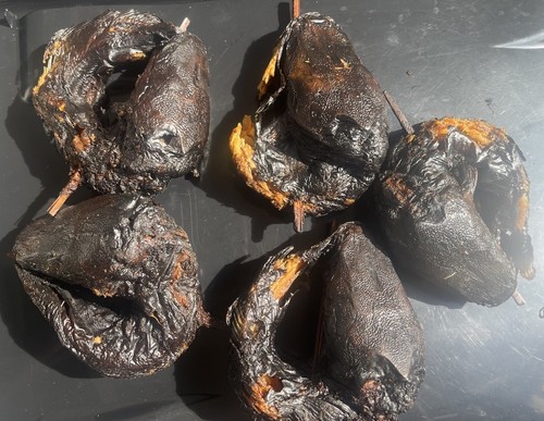 Big clean tasty oven - ,