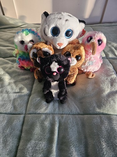 Collection beanie boo - ty,