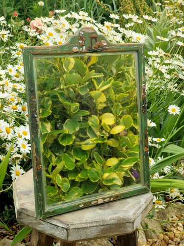 Antique chinese chinoiserie - antique,