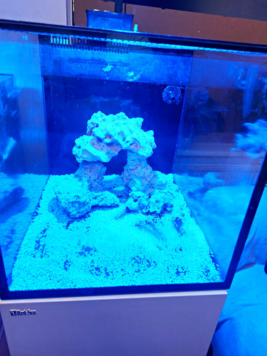 Red sea max nano peninsula - red,