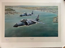 Sea Harrier print by Robert