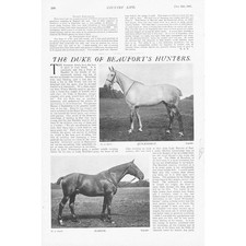 HORSES The Duke of Beaufort's