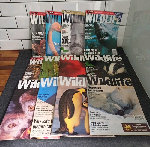 Vintage bbc wildlife magazines - vintage,
